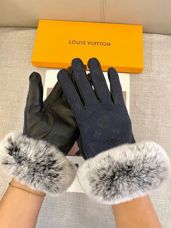 LV gloves hm23